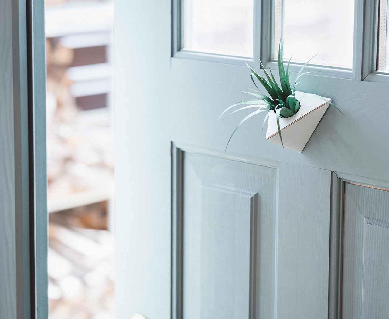 日本手工植物紙雕「PAPELANTS」！自己動手做8款多肉植物、仙人掌