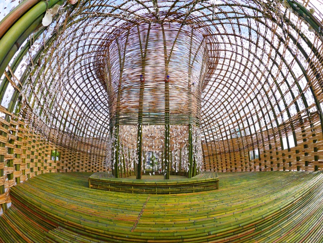 用竹籐編織一方淨土,王文志-我從山林來