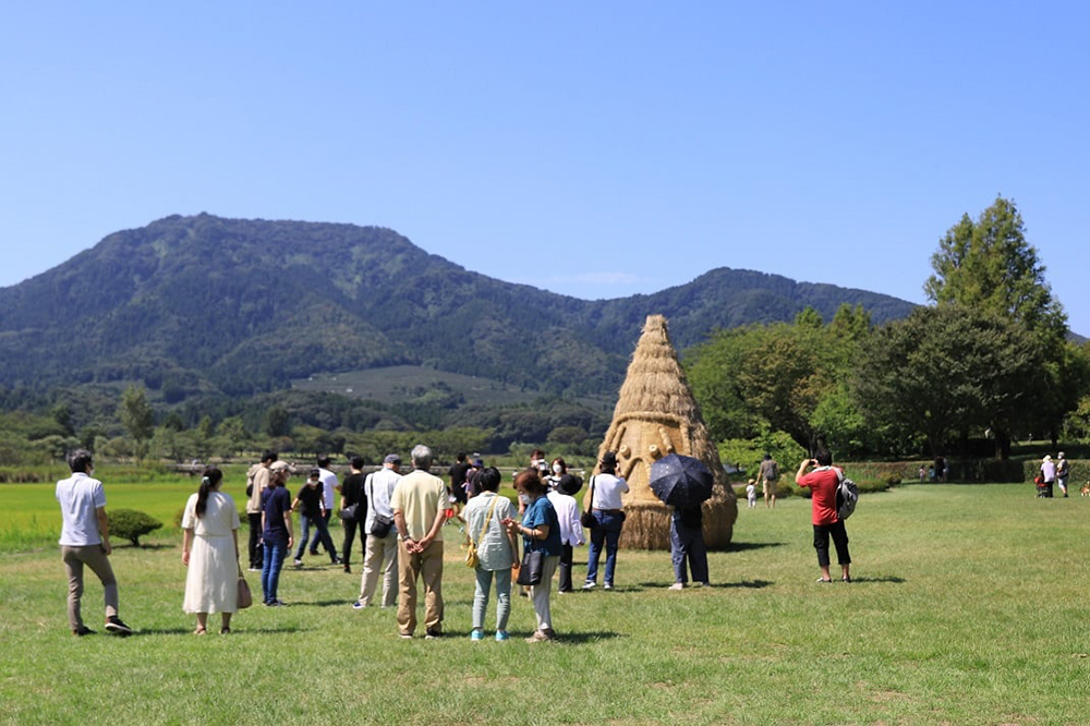 稻草與傳統工藝結合！2021日本「稻草藝術節」展出鳳凰、防疫妖怪Amabie與達摩等巨型裝置藝術