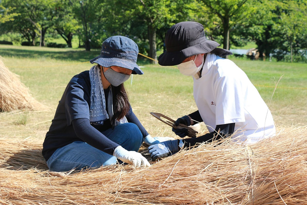 稻草與傳統工藝結合！2021日本「稻草藝術節」展出鳳凰、防疫妖怪Amabie與達摩等巨型裝置藝術