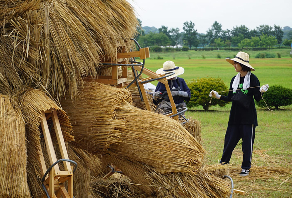 稻草與傳統工藝結合！2021日本「稻草藝術節」展出鳳凰、防疫妖怪Amabie與達摩等巨型裝置藝術