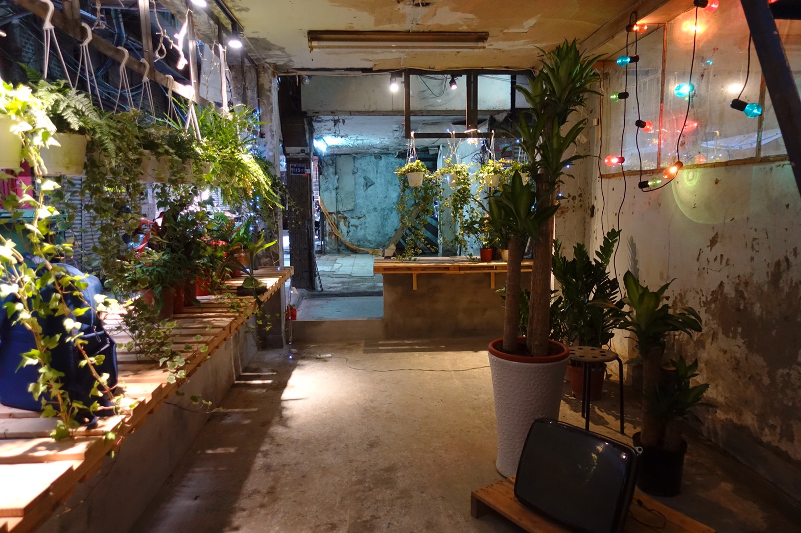 2019寶藏巖光節X簡單生活節聯名!「野景」交融野生與文明的光影藝術景致