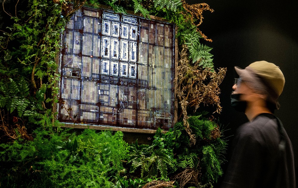 2021寶藏巖光節「棲息在光中」13組作品亮點!光電獸、河光創作點亮山城聚落