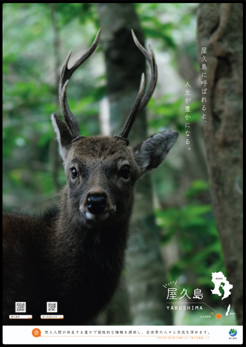 日本 2020 觀光海報大賞得獎作品出爐！九州鐵道穿梭森林和跨海奪冠、東京自然秘境入選