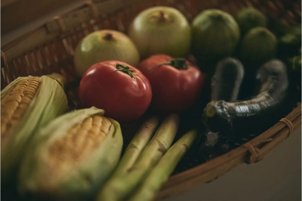 無印良品改造百年古民家！日本鴨川「MUJI BASE KAMOGAWA」體驗里山的設計旅宿