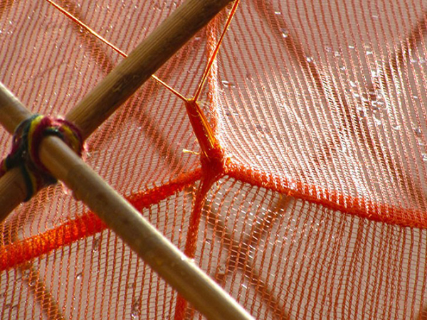 伊索比亞的甘霖：WarkaWater