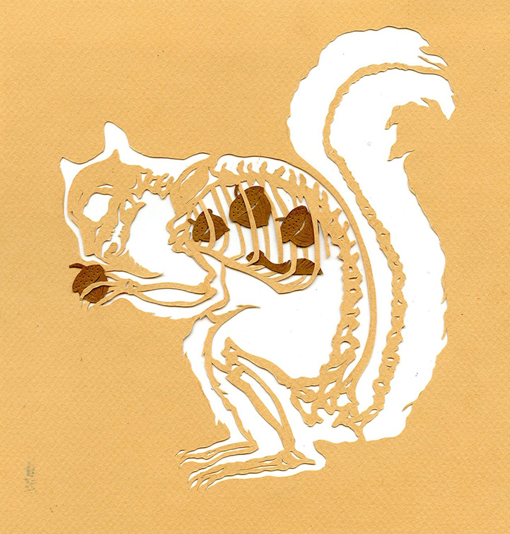 透視小動物們飲食喜好的 X 光紙雕