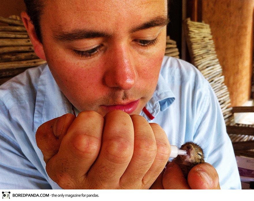 讓我來溫暖你！縮成一團的小松鼠