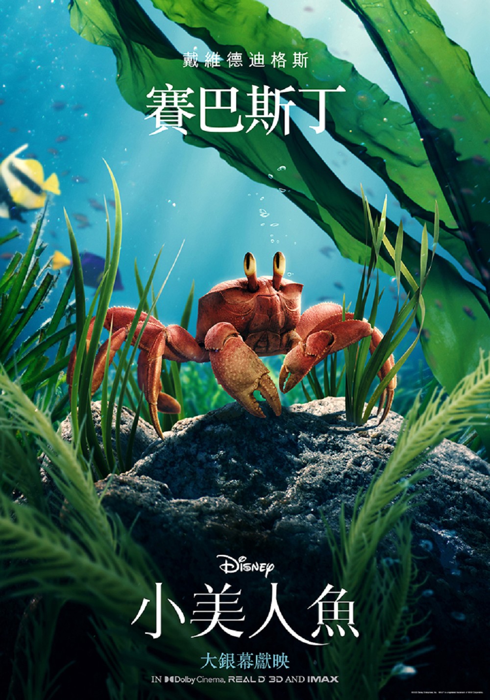 《小美人魚》真人版角色海報！愛麗兒、烏蘇拉、川頓國王、人魚姐姐造型亮相