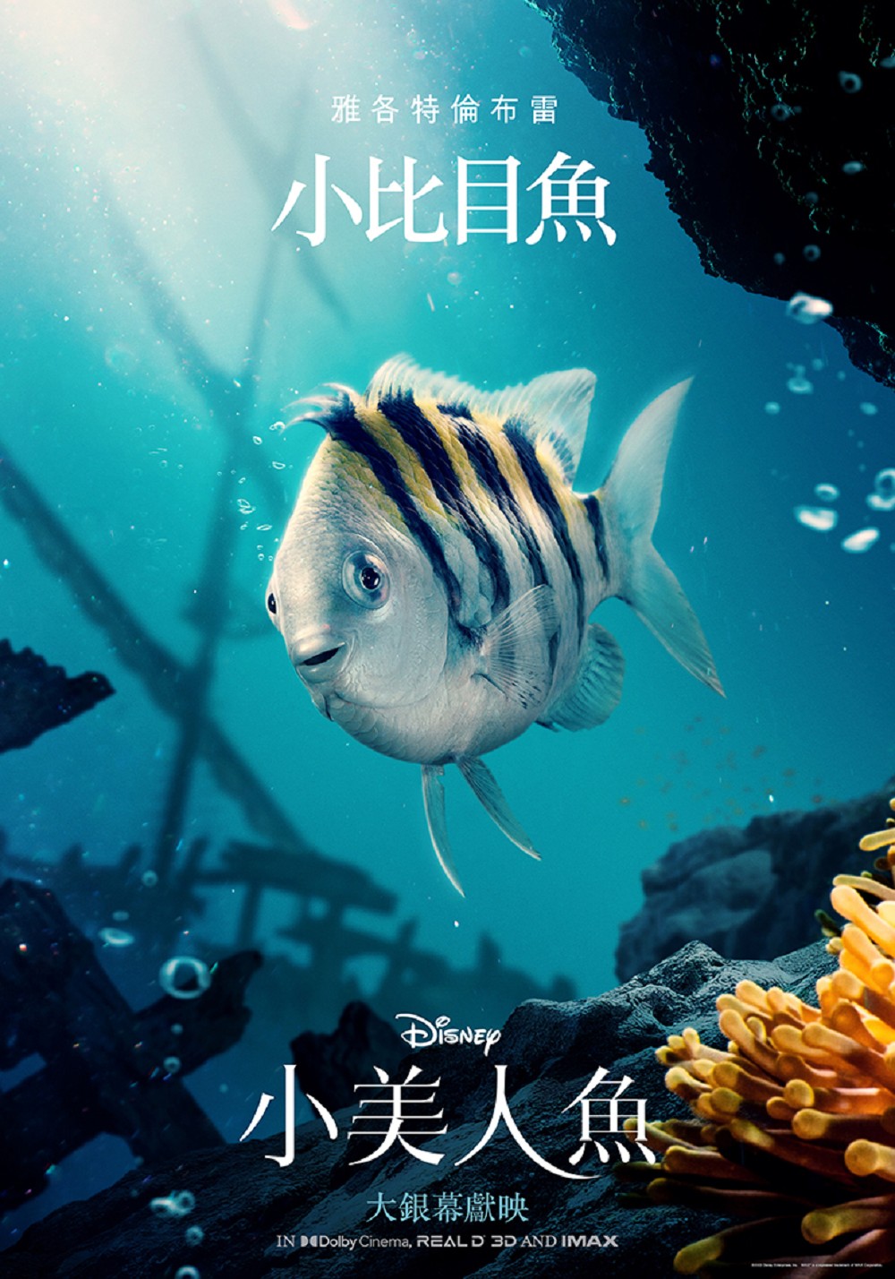 《小美人魚》真人版角色海報！愛麗兒、烏蘇拉、川頓國王、人魚姐姐造型亮相