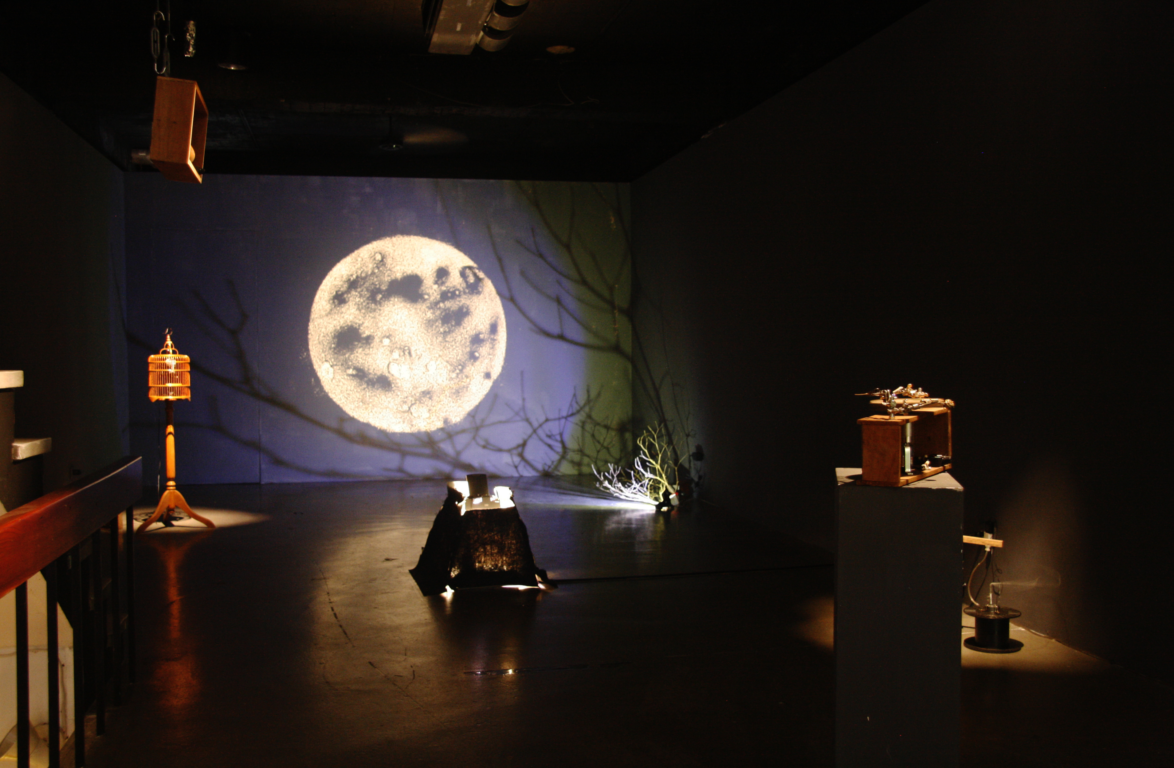 2019寶藏巖光節X簡單生活節聯名!「野景」交融野生與文明的光影藝術景致