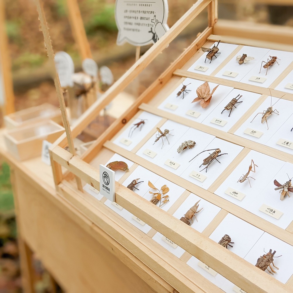 2022新竹市玻璃設計藝術節亮點！「透明大百科」集結玻璃山景、透明市集、藝術裝置