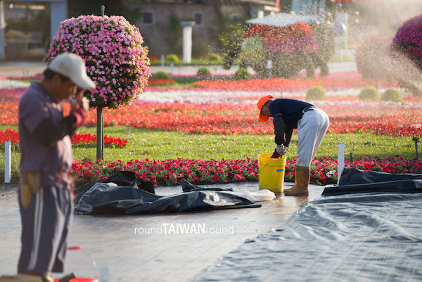 【台灣旅行】回顧過往新社花海，2014年的這場是否值得再塞一次車？