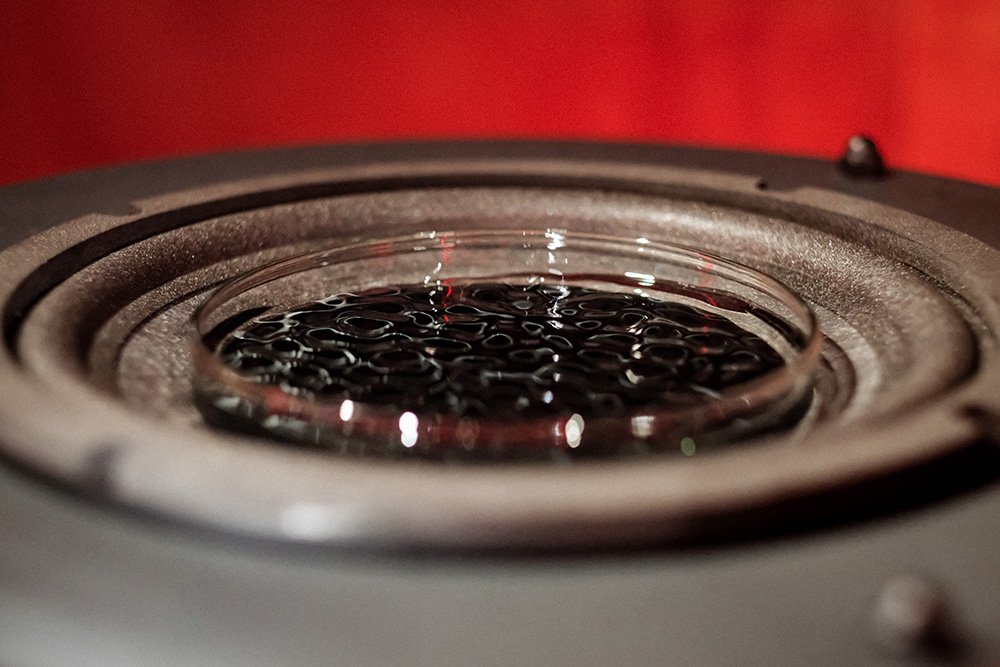 陽明實驗山屋「火山心跳 」展覽7大亮點！火山聲紋、鳥鳴等聲響裝置展現陽明山聲音風景