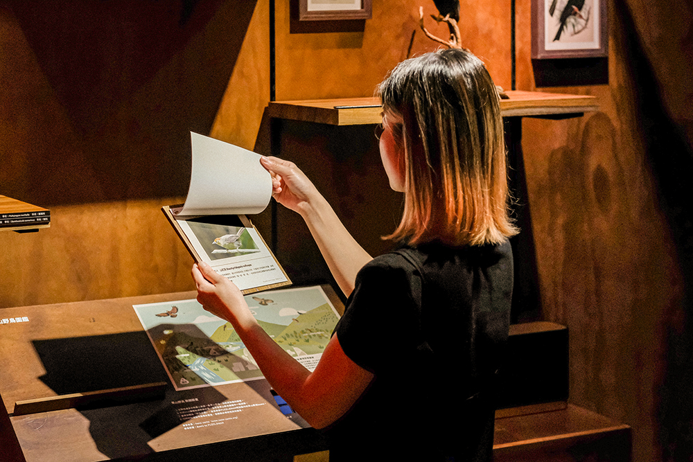 陽明實驗山屋「火山心跳 」展覽7大亮點！火山聲紋、鳥鳴等聲響裝置展現陽明山聲音風景