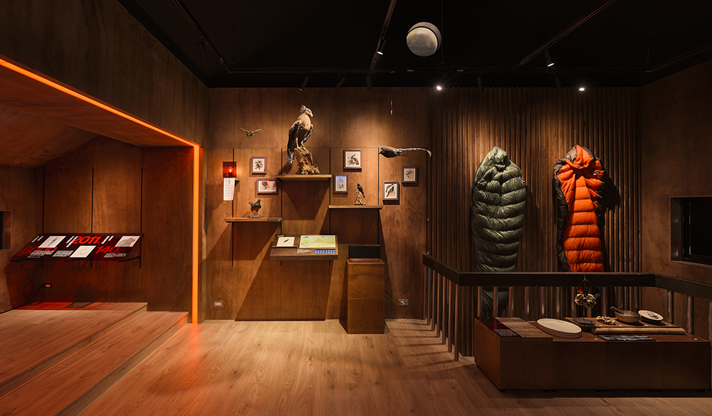 陽明實驗山屋「火山心跳 」展覽7大亮點！火山聲紋、鳥鳴等聲響裝置展現陽明山聲音風景