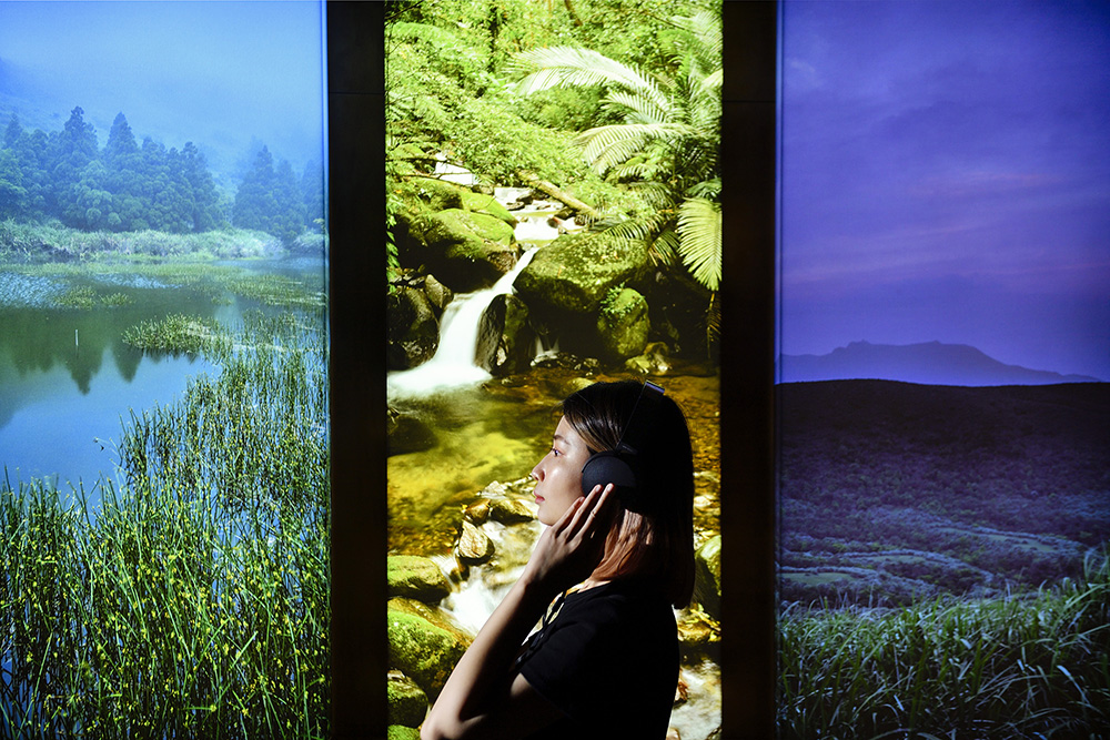 陽明實驗山屋「火山心跳 」展覽7大亮點！火山聲紋、鳥鳴等聲響裝置展現陽明山聲音風景