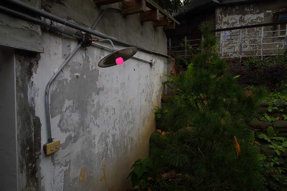 2019寶藏巖光節X簡單生活節聯名!「野景」交融野生與文明的光影藝術景致