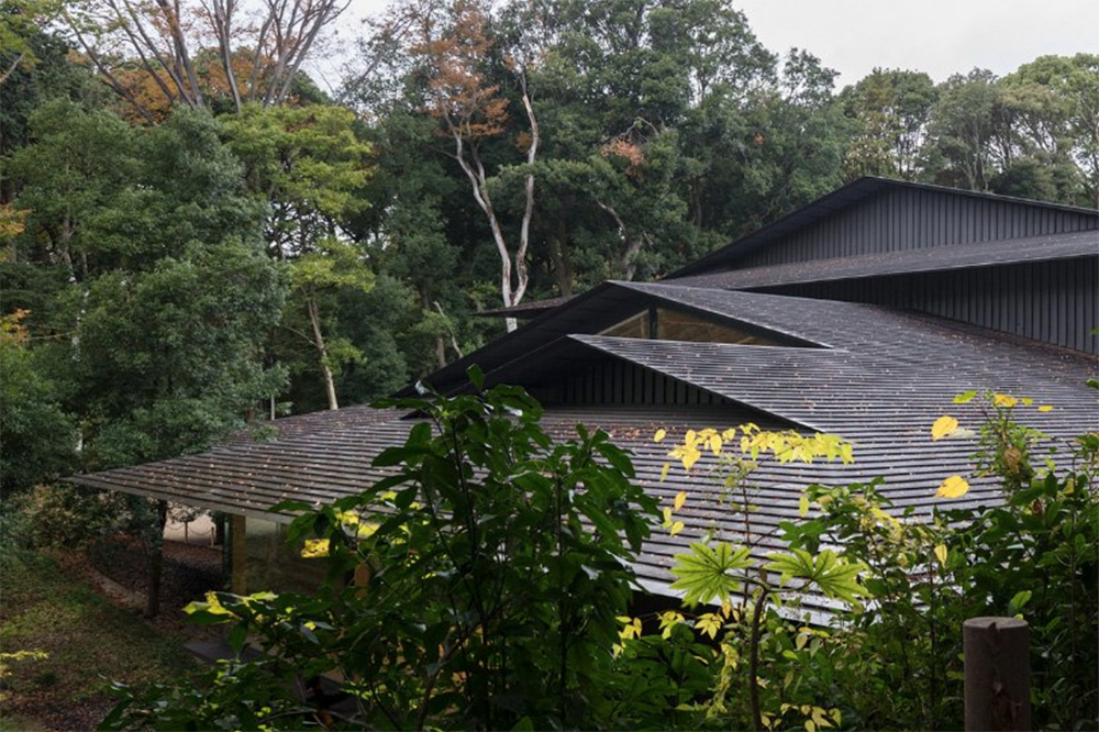 隈研吾打造明治神宮博物館！斜屋頂、大面積落地窗融入自然地景