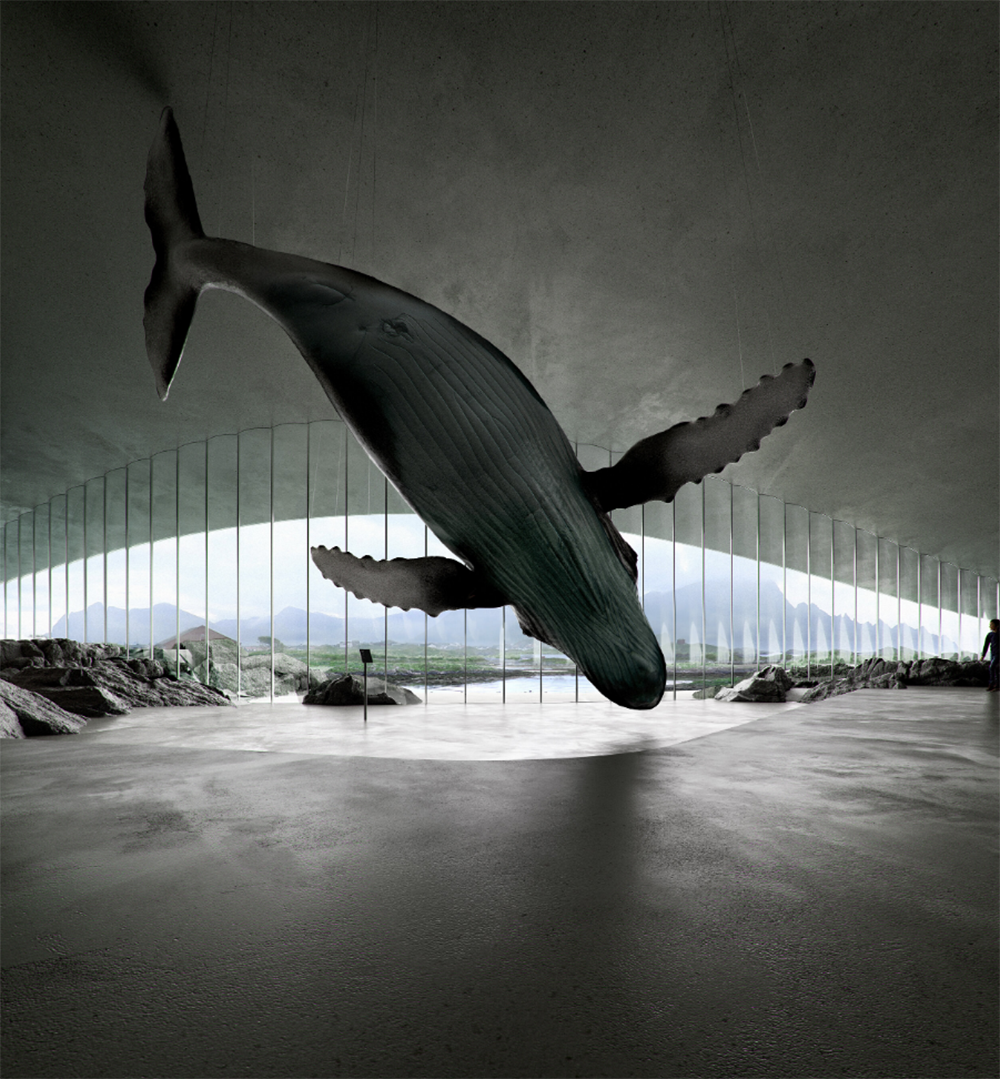 世界最佳賞鯨地 挪威北極圈石鯨魚尾巴the Whale 遊客中心 獲讚 低調而富有詩意 大人物