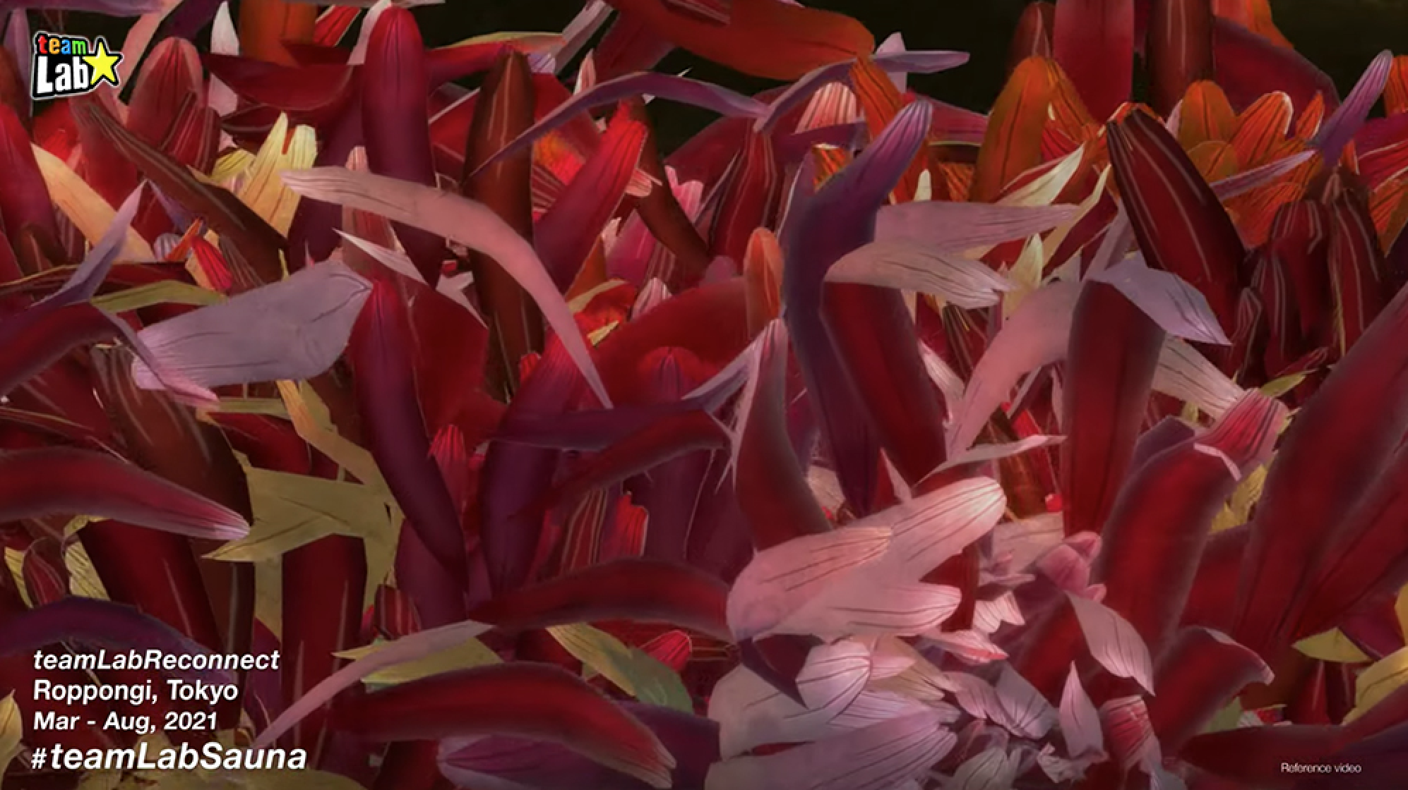 在三溫暖裡欣賞 teamLab 新展覽！結合桑拿的溫度、視覺互動饗宴將於 3 月東京六本木登場
