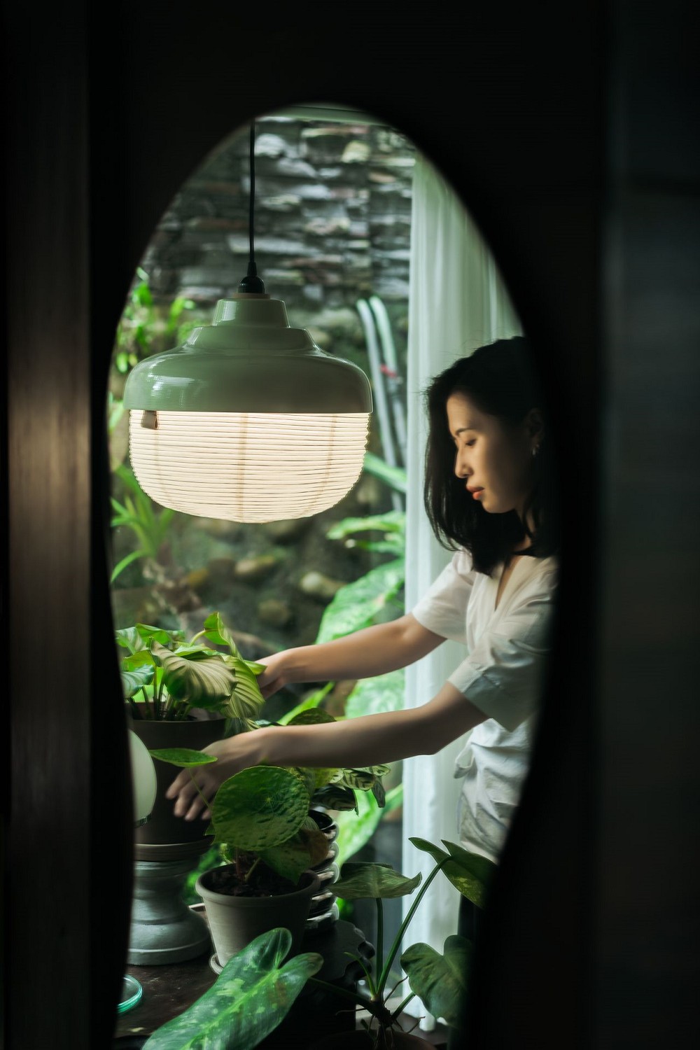 燈籠化身植物設計燈具！柒木設計X植栽風格師Yuty聯名「一盞東西」植物燈具
