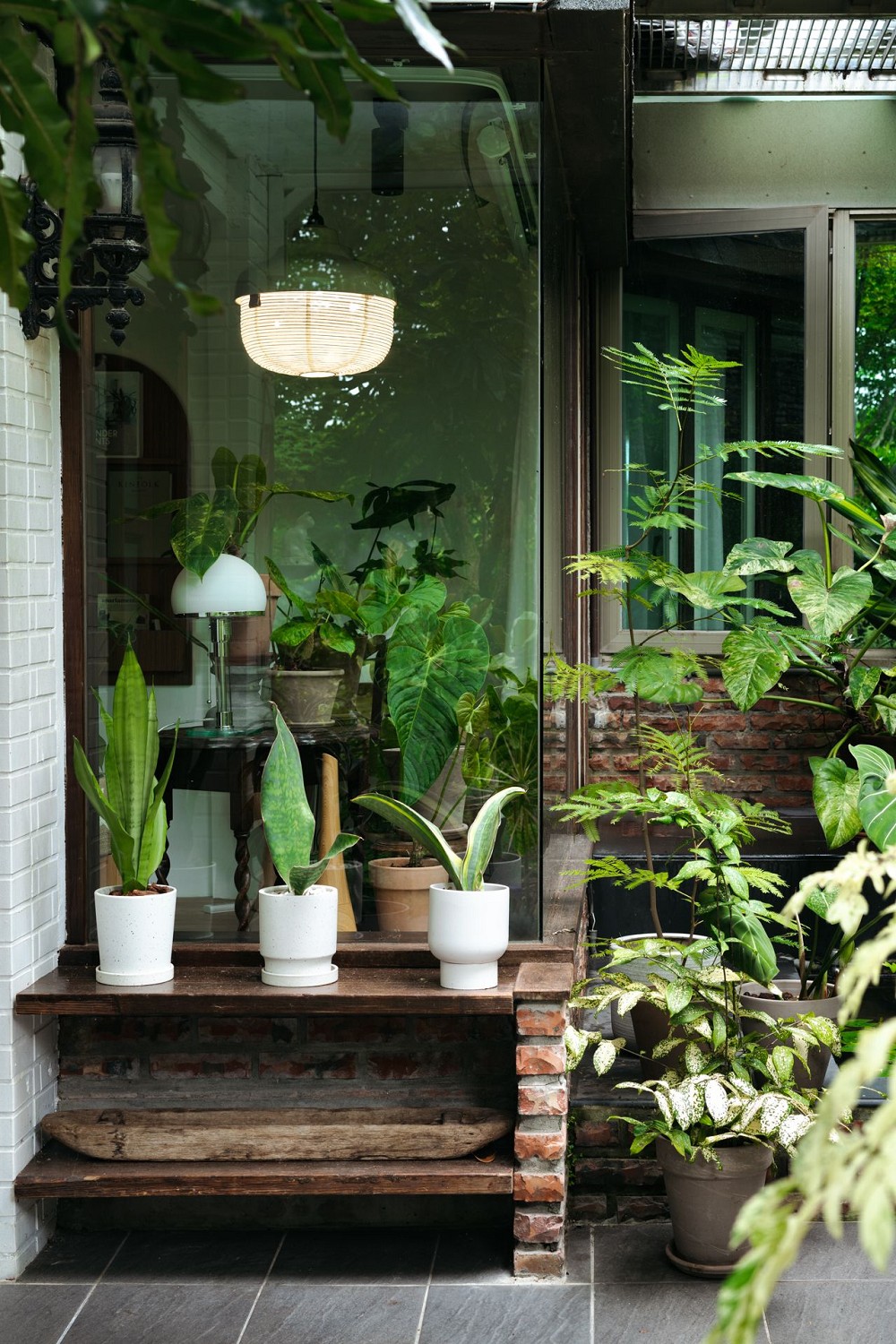 燈籠化身植物設計燈具！柒木設計X植栽風格師Yuty聯名「一盞東西」植物燈具