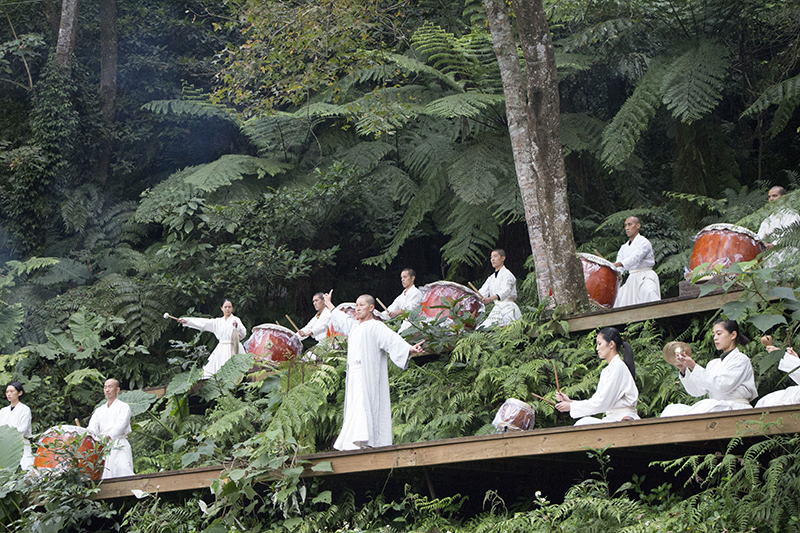 浴火老樹重生出數百株嫩芽！優人神鼓新店老泉山啟動「山上劇場災後共建計畫」集資中