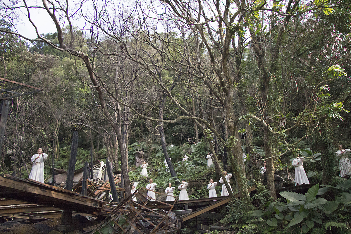 浴火老樹重生出數百株嫩芽！優人神鼓新店老泉山啟動「山上劇場災後共建計畫」集資中