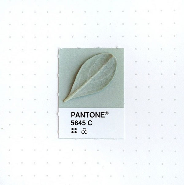 微小日常色票，與 Pantone 顏色匹配的小物件