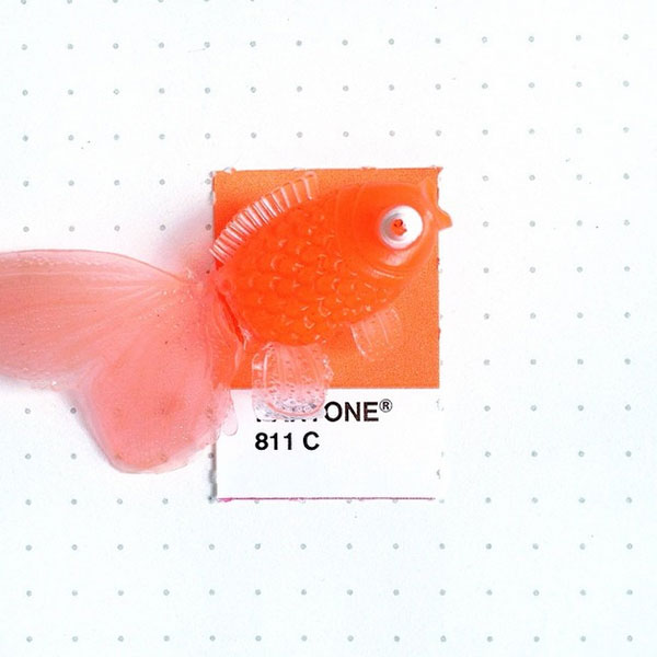 微小日常色票，與 Pantone 顏色匹配的小物件