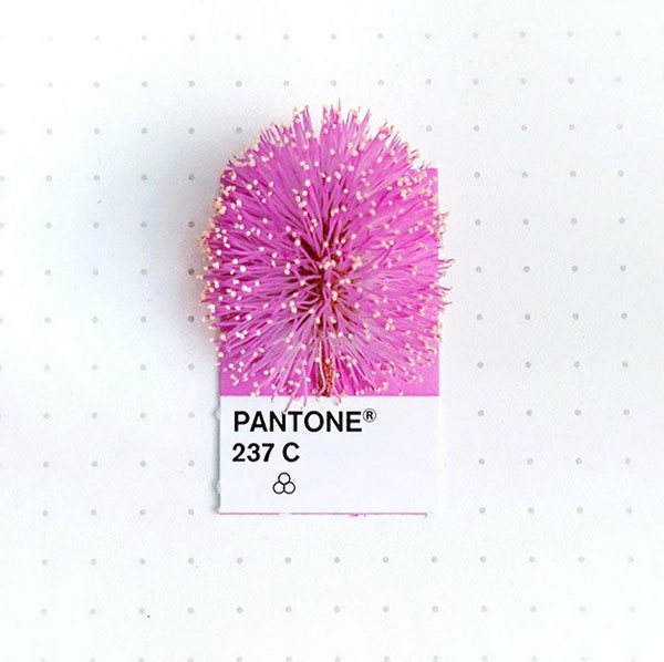 微小日常色票，與 Pantone 顏色匹配的小物件