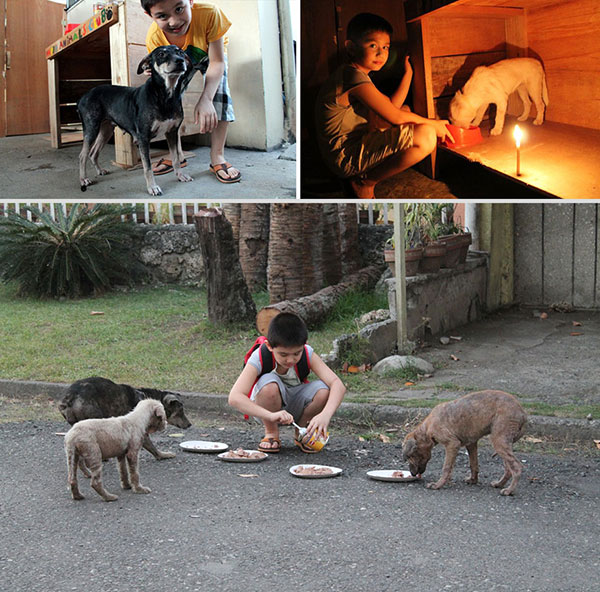 九歲男孩建造的動物收容所《Happy Animals Club》