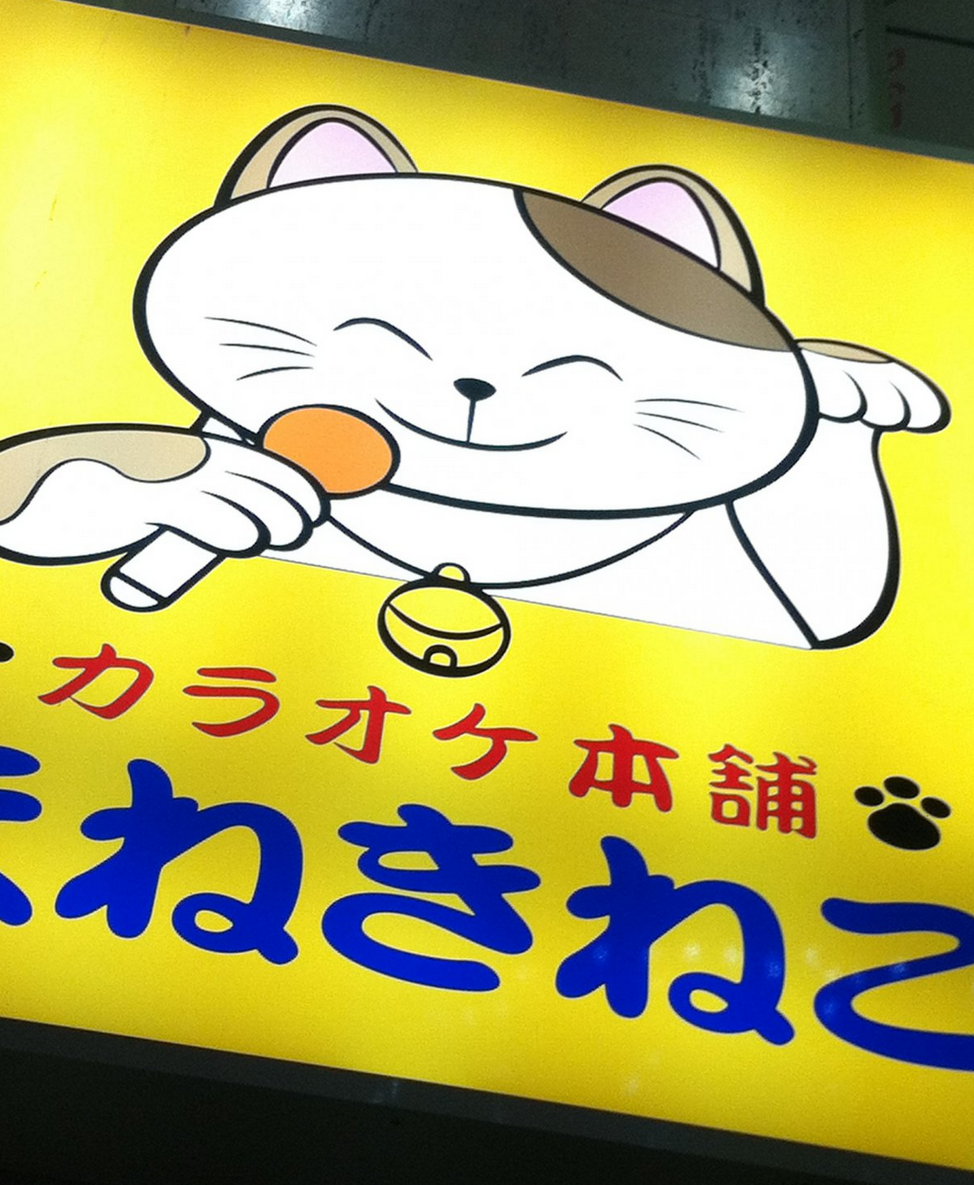 全世界最愛貓的國家！對貓咪超級癡迷的日本文化