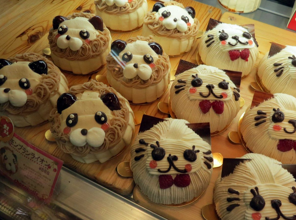 全世界最愛貓的國家！對貓咪超級癡迷的日本文化