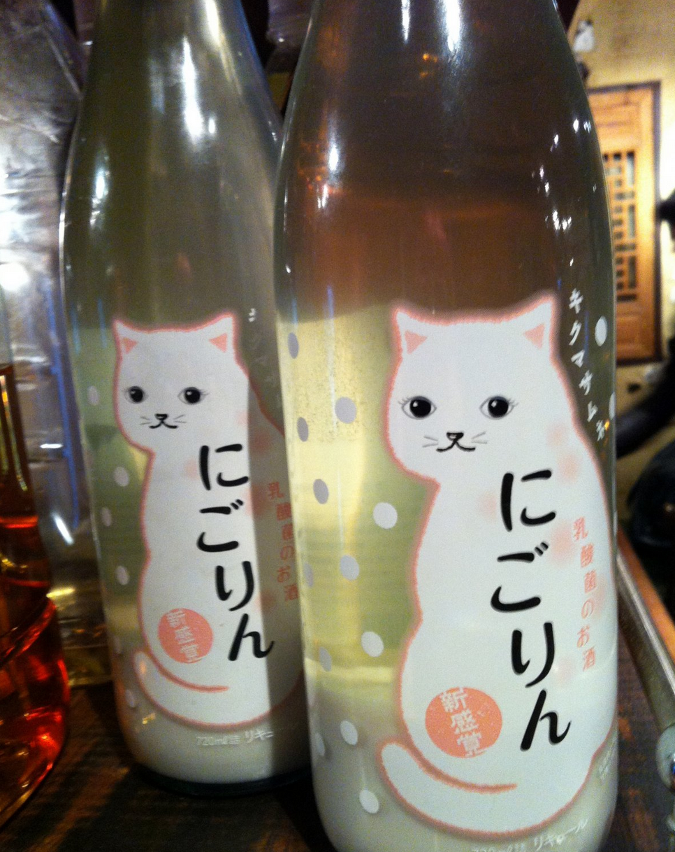 全世界最愛貓的國家！對貓咪超級癡迷的日本文化