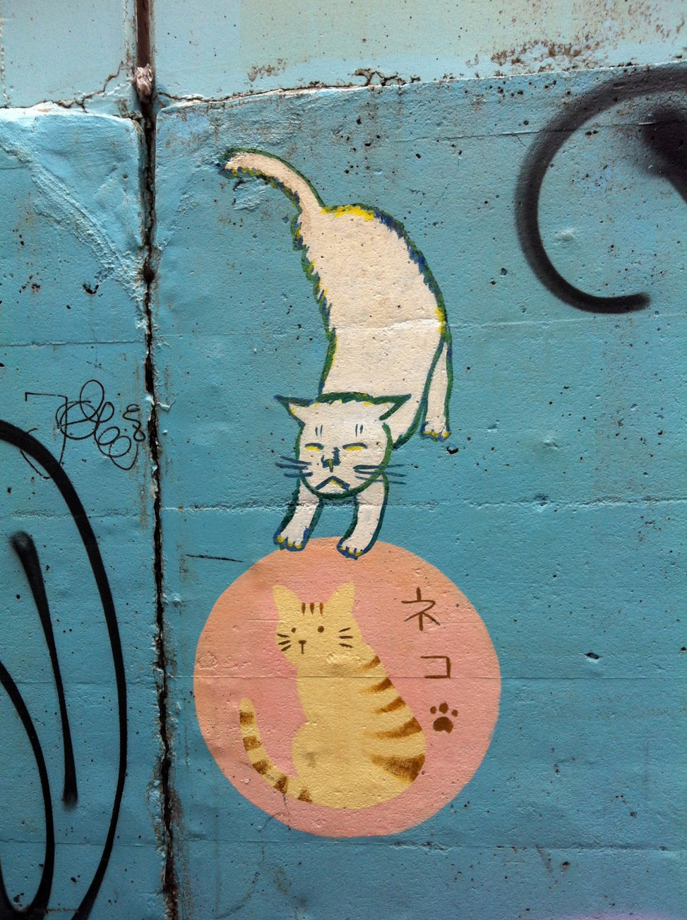 全世界最愛貓的國家！對貓咪超級癡迷的日本文化