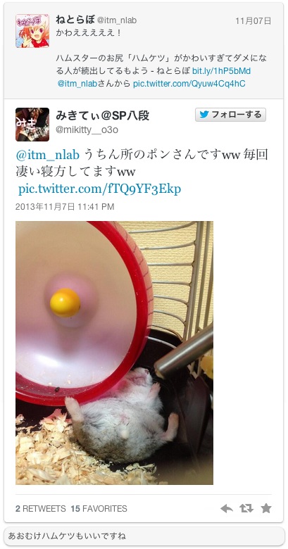 療癒新星！日本 Twitter 近期最流行的倉鼠屁屁