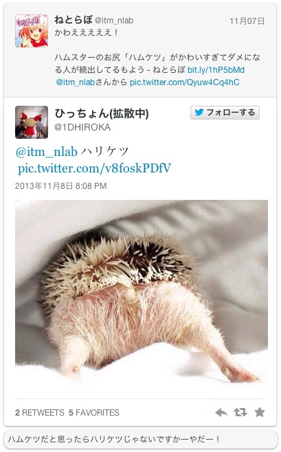 療癒新星！日本 Twitter 近期最流行的倉鼠屁屁