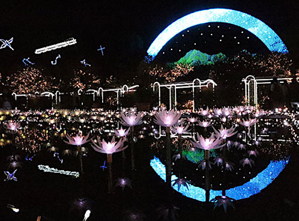 超夢幻的足立花卉公園「光之花庭院2018」開幕啦！東京近郊最美聖誕節點燈
