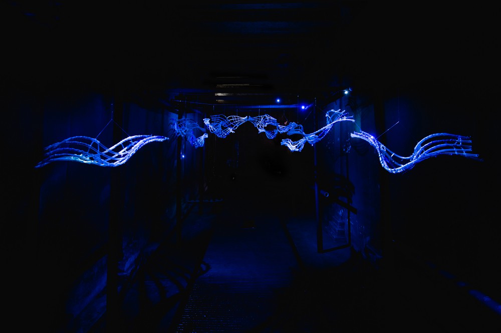 台北觀音蓄水池《獵島計畫》亮點！藍眼淚、化石紙雕等13組作品打造地下奇幻展覽