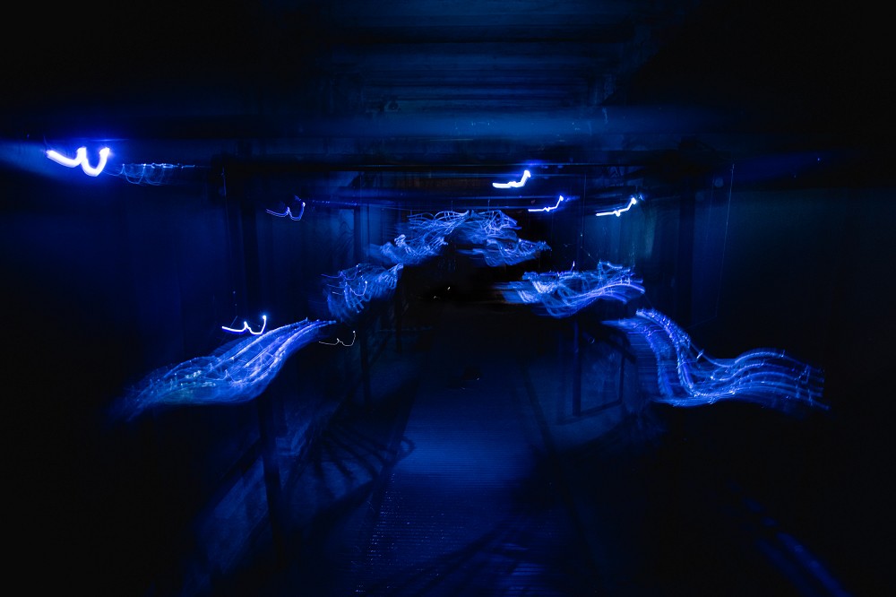 台北觀音蓄水池《獵島計畫》亮點！藍眼淚、化石紙雕等13組作品打造地下奇幻展覽