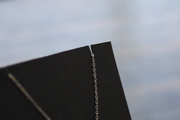 【生活玩物】ZOO'S 20％項鍊，代表百分之百愛動物的心情