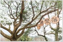 帶孩子一起進入桃花源,親近大自然-《八煙聚落生態導覽》/