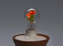 電,使花綻放!古董燈泡的綺麗發光藝術/