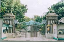 新竹市立動物園重生！經歷2年半變身與城市、生態共生共榮的「離家最近的動物園」