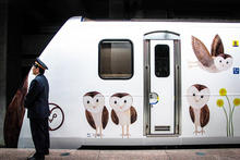 限時行駛台灣西部的台鐵彩繪列車!「里山動物列車」讓穿山甲、石虎等台灣保育動物躍上車身/
