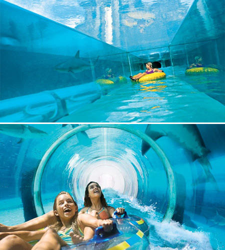 想要欣賞海底風景嗎？十個最酷的海底景點等你來