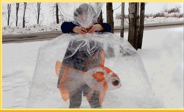 收起雕刻刀，只用膠帶的雕塑大賽Off the Roll！