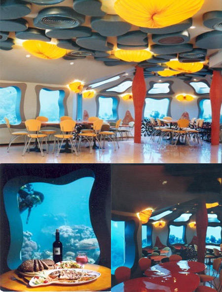 想要欣賞海底風景嗎？十個最酷的海底景點等你來